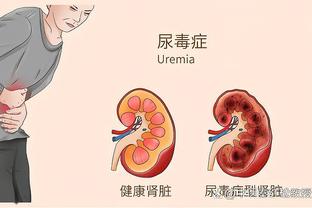 半岛手机客户端官网首页登录截图1